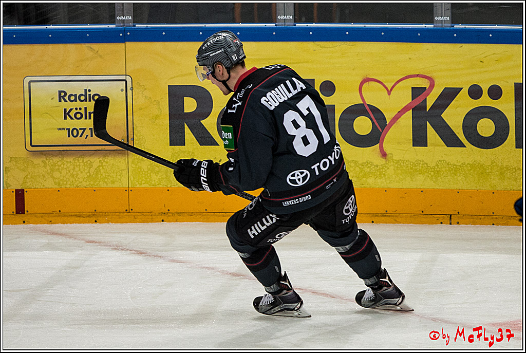 Koelner Haie - Schwenninger Wild Wings, 11.12.2016